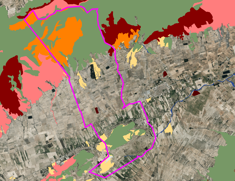 ECOSISTEMAS FORESTALES