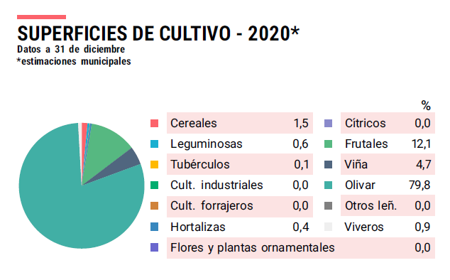 SUPERFICIES CULTIVO
